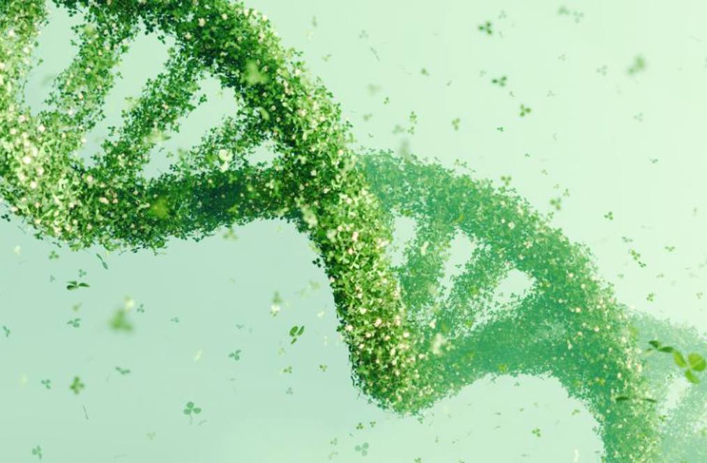 A DNA double helix structure made up of small green leaves and flowers, set against a soft green background. The design symbolizes the connection between biotechnology, nature, and sustainability.